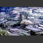 梯田－６