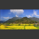 生态家园