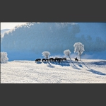 冬雪坝上