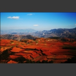 东川红土地