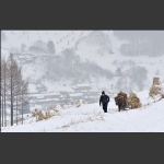 雪村冬忙