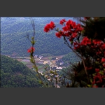 血染罗峰山2