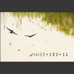 荷塘春燕