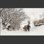 瑞雪兆丰年