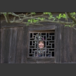 窗  外