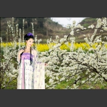 鲜花美女3