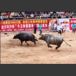 穷追