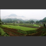清江方山石林（湖北长阳）