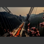 建设者-6