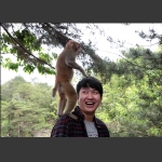 猴帅登高点兵