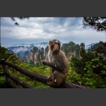 味道还可以