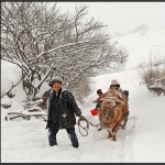 瑞雪兆丰年