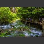 大峡谷之风景-小溪流水