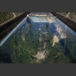建设中的云天渡1-5