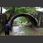 又见清清溪流