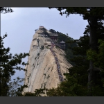 自古华山一条路