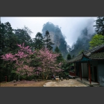 黄石寨上的人家