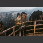 脚踏摘星台