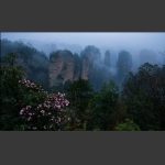 黄石寨之春-1