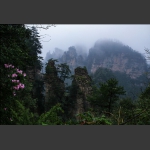 黄石寨之春-2
