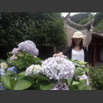 花之恋