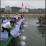 投放鱼和鱼苗现场