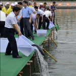 放条大鱼到澧水