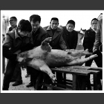 家逢喜事