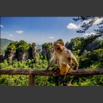悠闲