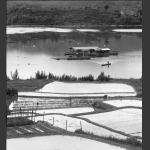 梦里水乡