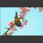 觅蜜