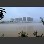 澧水晨雾2