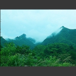 山美