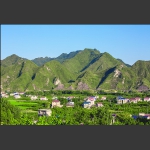 青山