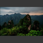 风雨欲来