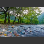 溪水径流