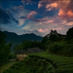 晨曦