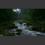 金鞭溪风景