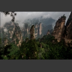 前花园-1