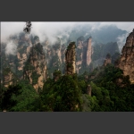 前花园-2