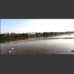 澧水河上鸭群景观