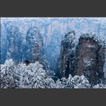 观雪景