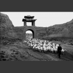龟城