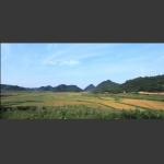 秋韵