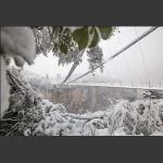 雪中桥