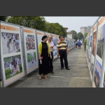 市领导参观影展