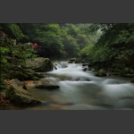 峡谷溪水潺潺