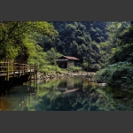 神秘的小屋