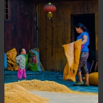 婆孙乐