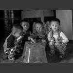 小伙伴